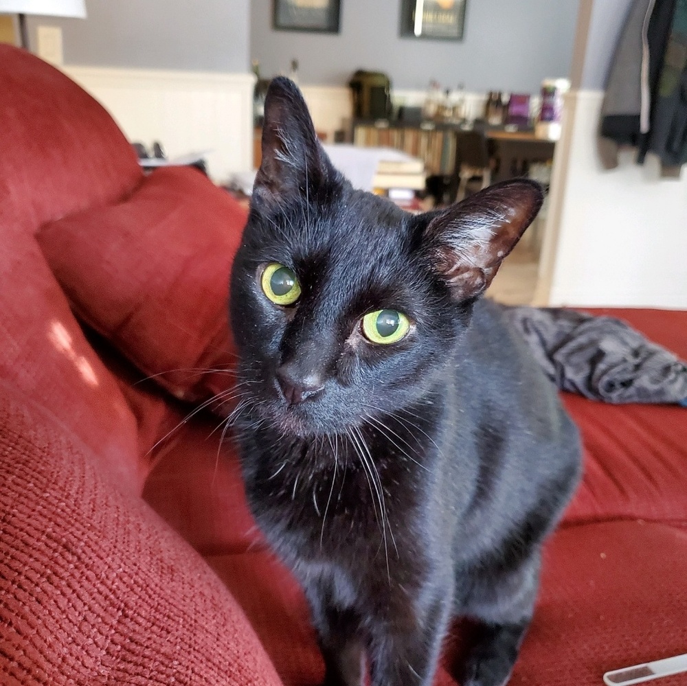 Meet your Posher, Suzanne